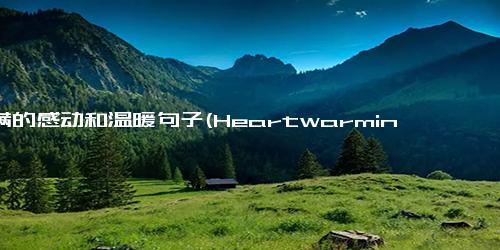 满满的感动和温暖句子(Heartwarming Moments that Will Bring Tears to Your Eyes- Tear-Jerking Moments of Heartwarming Kindness)